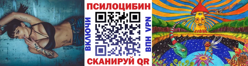 Купить  Кубинка  Галлюциногенные грибы Cubensis 